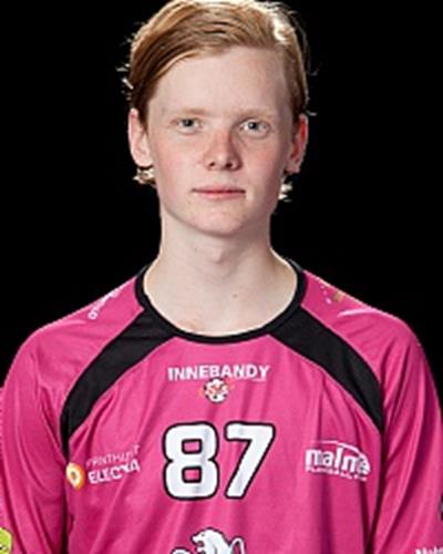 Ludvig Andersson