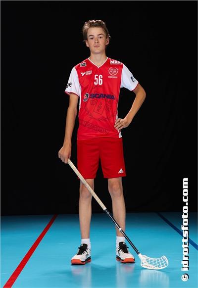 Malte Jönsson Alin