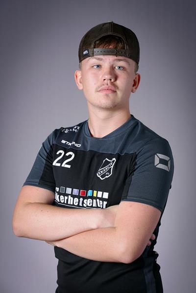 Alwin Henkelmann