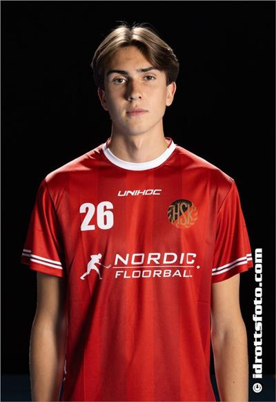 David Niklasson