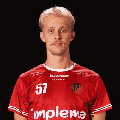 Arild Bjerkefeldt