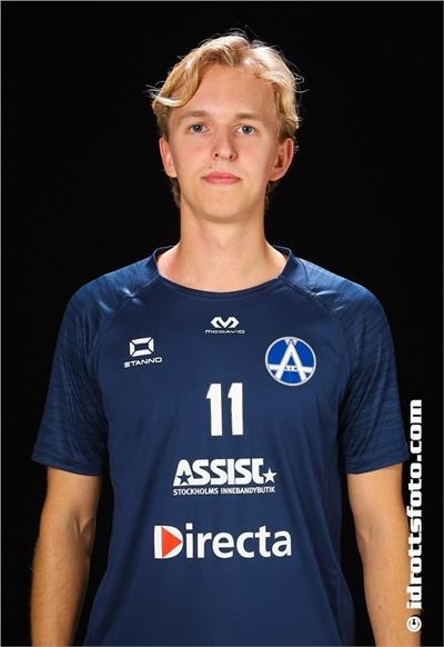 Ludvig Ström