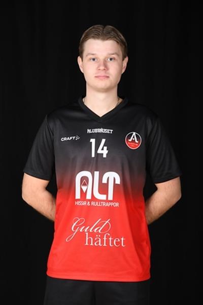 Hugo Nilsson