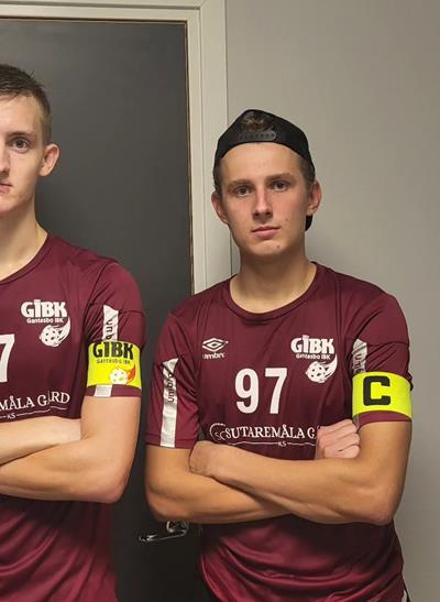 Emil Bermå Alexandersson