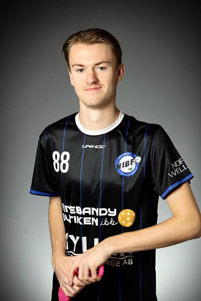 Hannes Pettersson