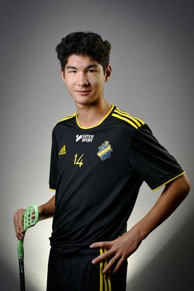 Anton Lycken