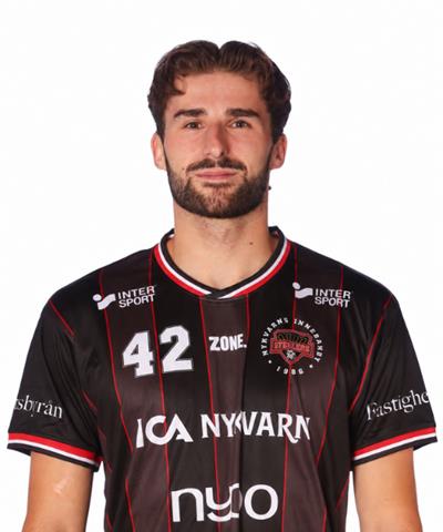Matteo Steiner