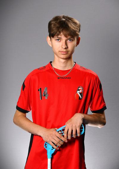 Martin Shumin