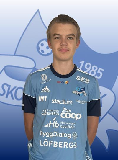 Leo Larsson