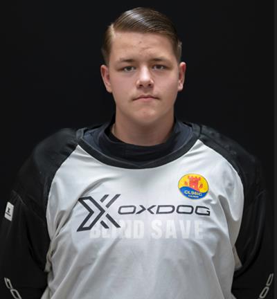 Alwin Westerberg Karlsson