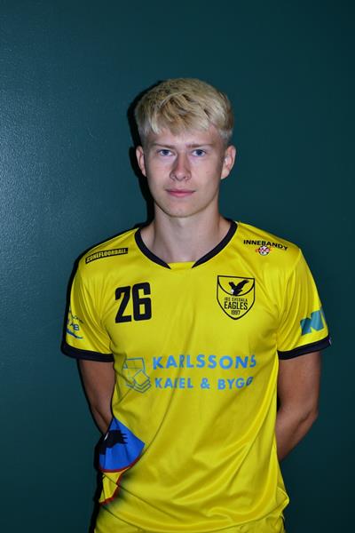 Ludwig Rodian