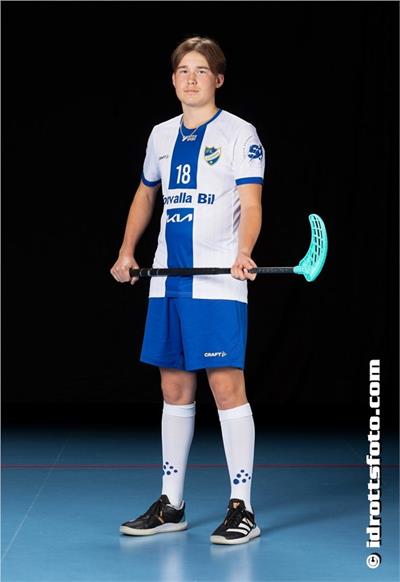 Leo Eriksson