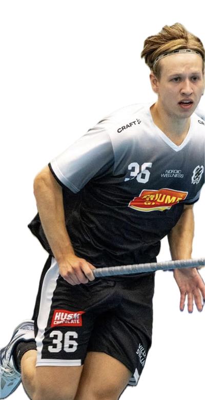Theo Hjortsberg