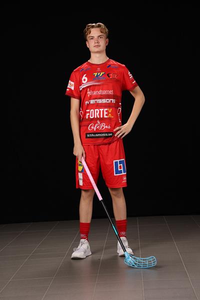Viggo Axelsson