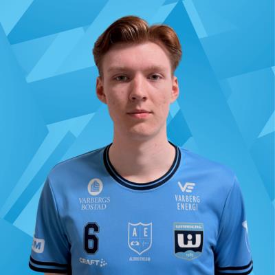 Albin Wedin