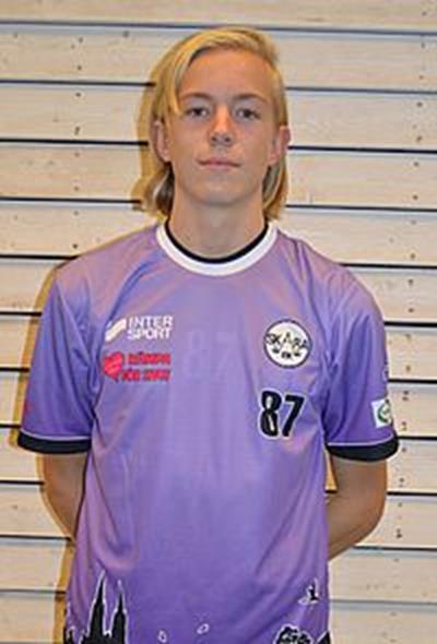 Emil Skillermo